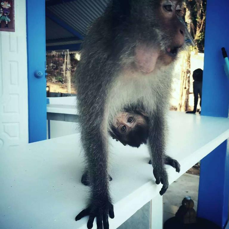 Koh Chang Gala Eksteriør bilde